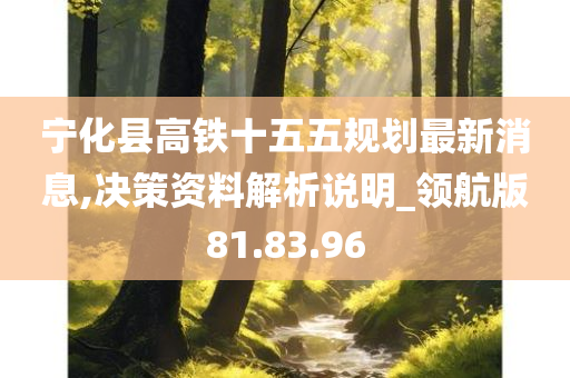 宁化县高铁十五五规划最新消息,决策资料解析说明_领航版81.83.96