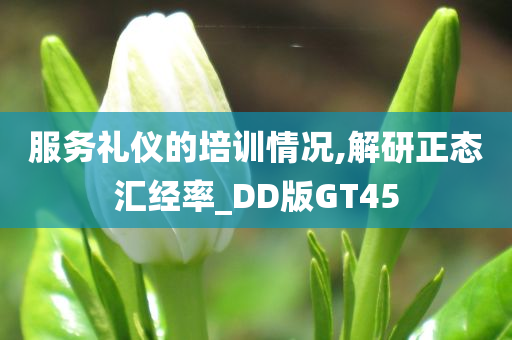 服务礼仪的培训情况,解研正态汇经率_DD版GT45