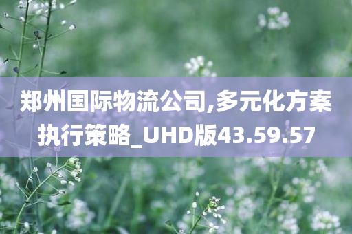 郑州国际物流公司,多元化方案执行策略_UHD版43.59.57