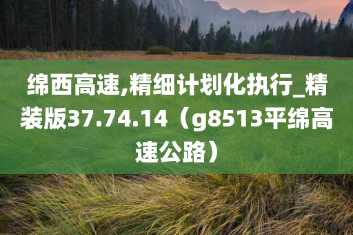 绵西高速,精细计划化执行_精装版37.74.14（g8513平绵高速公路）