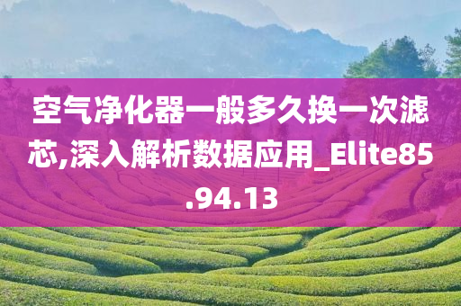 空气净化器一般多久换一次滤芯,深入解析数据应用_Elite85.94.13