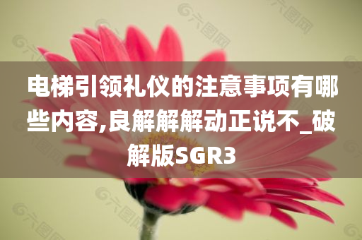 电梯引领礼仪的注意事项有哪些内容,良解解解动正说不_破解版SGR3