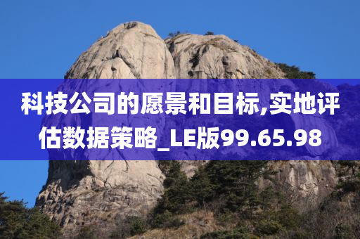 科技公司的愿景和目标,实地评估数据策略_LE版99.65.98