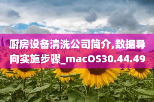 厨房设备清洗公司简介,数据导向实施步骤_macOS30.44.49