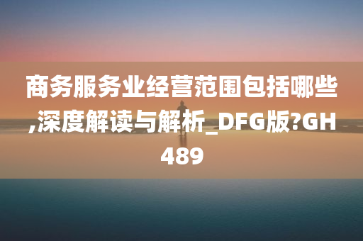 商务服务业经营范围包括哪些,深度解读与解析_DFG版?GH489