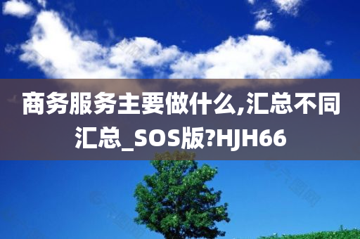 商务服务主要做什么,汇总不同汇总_SOS版?HJH66