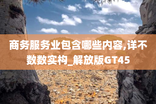 商务服务业包含哪些内容,详不数数实构_解放版GT45