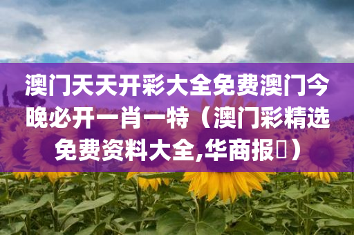 澳门天天开彩大全免费澳门今晚必开一肖一特（澳门彩精选免费资料大全,华商报乀）