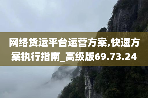 网络货运平台运营方案,快速方案执行指南_高级版69.73.24