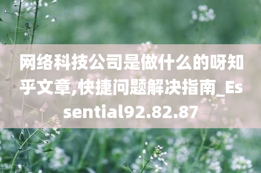 网络科技公司是做什么的呀知乎文章,快捷问题解决指南_Essential92.82.87