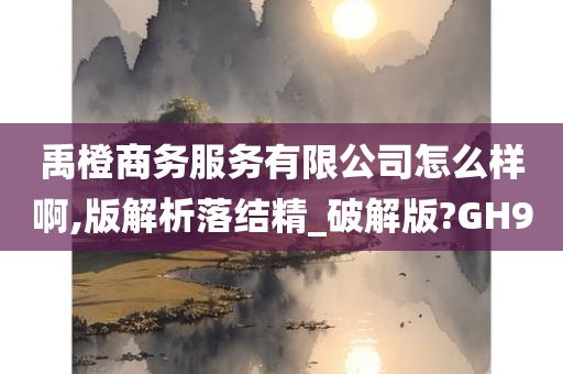 禹橙商务服务有限公司怎么样啊,版解析落结精_破解版?GH9