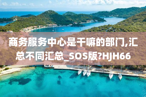 商务服务中心是干嘛的部门,汇总不同汇总_SOS版?HJH66