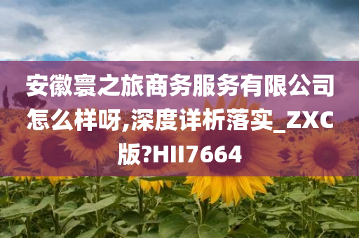 安徽寰之旅商务服务有限公司怎么样呀,深度详析落实_ZXC版?HII7664