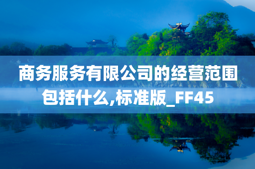 商务服务有限公司的经营范围包括什么,标准版_FF45