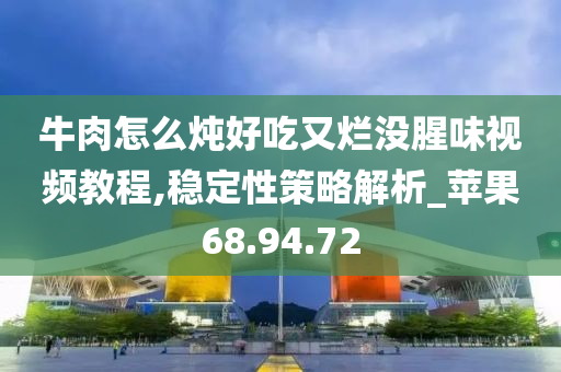 牛肉怎么炖好吃又烂没腥味视频教程,稳定性策略解析_苹果68.94.72