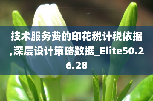 技术服务费的印花税计税依据,深层设计策略数据_Elite50.26.28