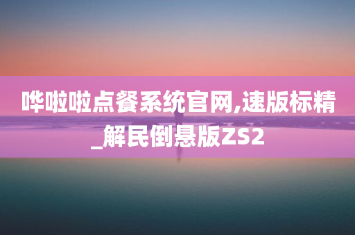 哗啦啦点餐系统官网,速版标精_解民倒悬版ZS2