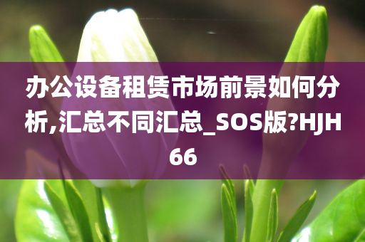 办公设备租赁市场前景如何分析,汇总不同汇总_SOS版?HJH66