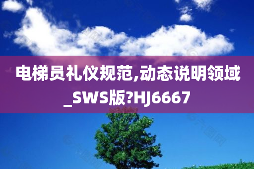 电梯员礼仪规范,动态说明领域_SWS版?HJ6667