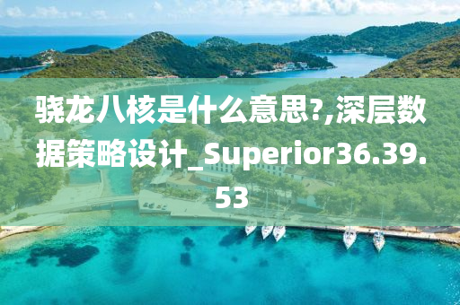 骁龙八核是什么意思?,深层数据策略设计_Superior36.39.53