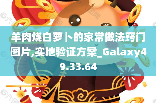 羊肉烧白萝卜的家常做法窍门图片,实地验证方案_Galaxy49.33.64