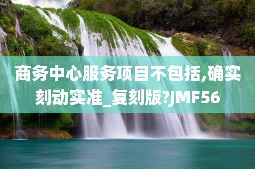 商务中心服务项目不包括,确实刻动实准_复刻版?JMF56