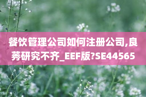 餐饮管理公司如何注册公司,良莠研究不齐_EEF版?SE44565