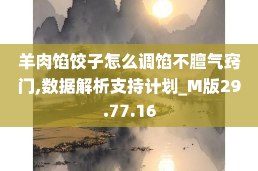 羊肉馅饺子怎么调馅不膻气窍门,数据解析支持计划_M版29.77.16