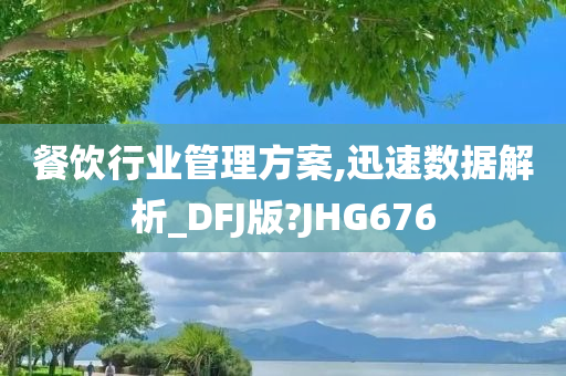 餐饮行业管理方案,迅速数据解析_DFJ版?JHG676