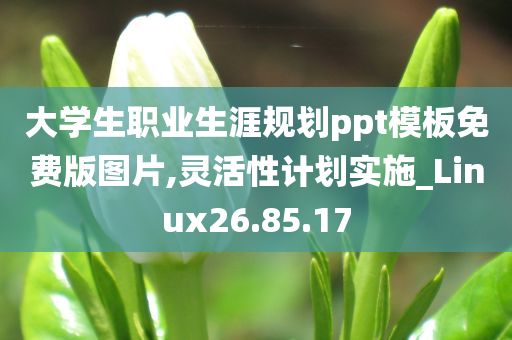 大学生职业生涯规划ppt模板免费版图片,灵活性计划实施_Linux26.85.17