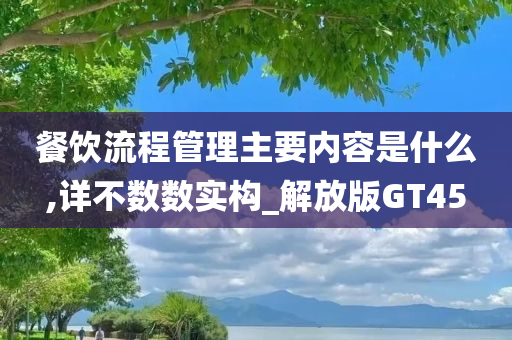 餐饮流程管理主要内容是什么,详不数数实构_解放版GT45