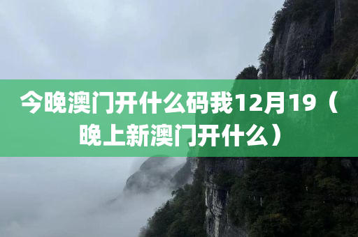 今晚澳门开什么码我12月19（晚上新澳门开什么）