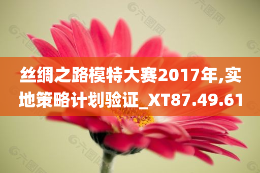 丝绸之路模特大赛2017年,实地策略计划验证_XT87.49.61