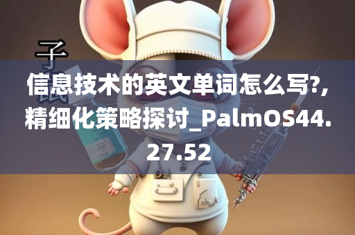 信息技术的英文单词怎么写?,精细化策略探讨_PalmOS44.27.52