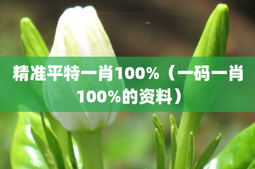 精准平特一肖100%（一码一肖100%的资料）