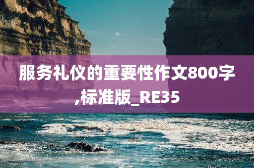 服务礼仪的重要性作文800字,标准版_RE35