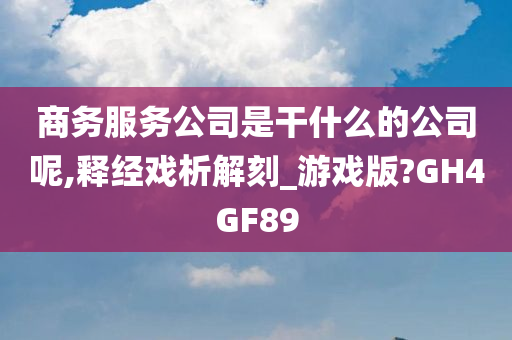 商务服务公司是干什么的公司呢,释经戏析解刻_游戏版?GH4GF89