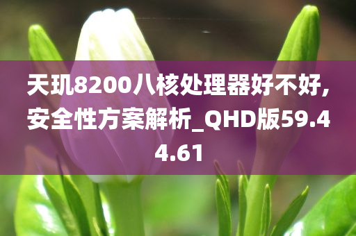 天玑8200八核处理器好不好,安全性方案解析_QHD版59.44.61