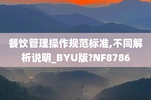 餐饮管理操作规范标准,不同解析说明_BYU版?NF8786