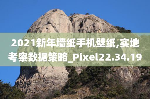 2021新年墙纸手机壁纸,实地考察数据策略_Pixel22.34.19