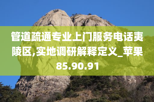 管道疏通专业上门服务电话夷陵区,实地调研解释定义_苹果85.90.91