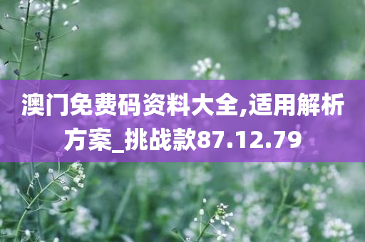 澳门免费码资料大全,适用解析方案_挑战款87.12.79