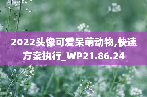 2022头像可爱呆萌动物,快速方案执行_WP21.86.24