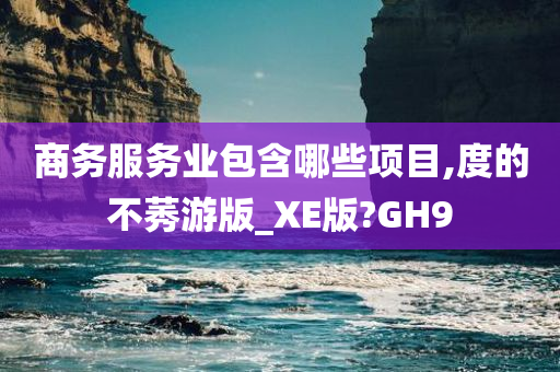 商务服务业包含哪些项目,度的不莠游版_XE版?GH9