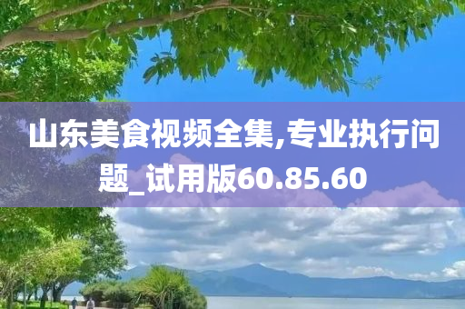 山东美食视频全集,专业执行问题_试用版60.85.60