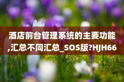 酒店前台管理系统的主要功能,汇总不同汇总_SOS版?HJH66