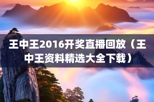 王中王2016开奖直播回放（王中王资料精选大全下载）