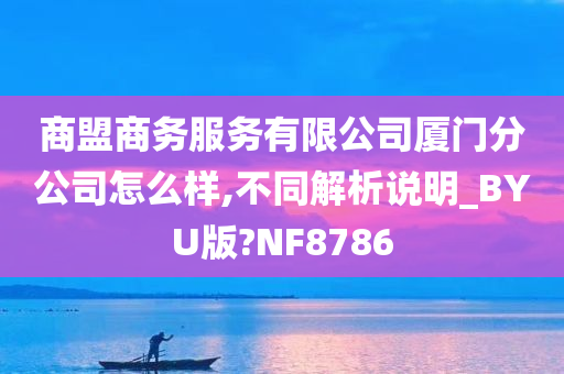 商盟商务服务有限公司厦门分公司怎么样,不同解析说明_BYU版?NF8786