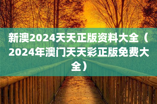 新澳2024天天正版资料大全（2024年澳门天天彩正版免费大全）