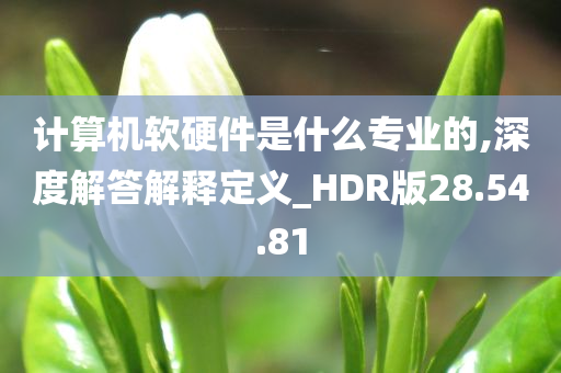 计算机软硬件是什么专业的,深度解答解释定义_HDR版28.54.81